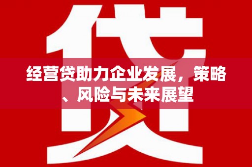 云和经营贷助力企业发展，策略、风险与未来展望