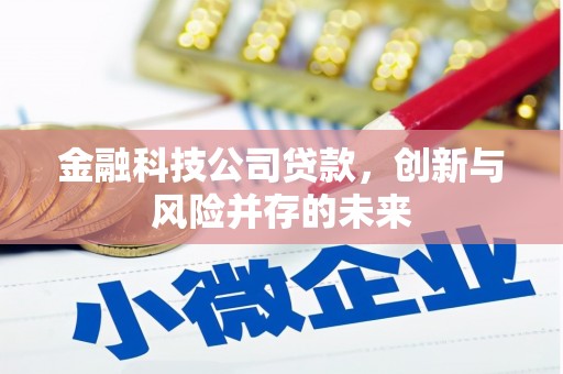 云和金融科技公司贷款，创新与风险并存的未来