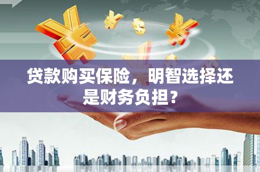 云和贷款购买保险，明智选择还是财务负担？