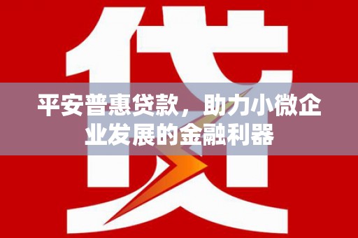 云和平安普惠贷款，助力小微企业发展的金融利器