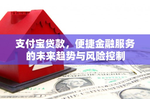 云和支付宝贷款，便捷金融服务的未来趋势与风险控制