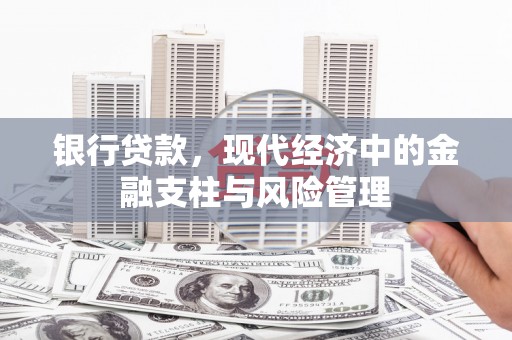 云和银行贷款，现代经济中的金融支柱与风险管理