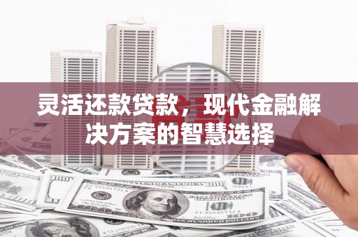 云和灵活还款贷款，现代金融解决方案的智慧选择