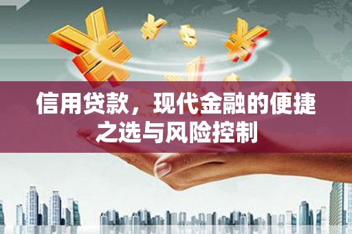 云和信用贷款，现代金融的便捷之选与风险控制