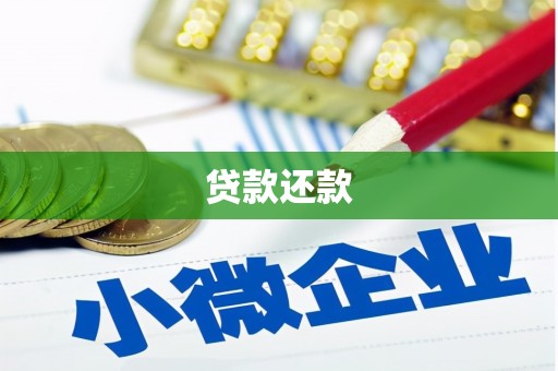 云和贷款还款