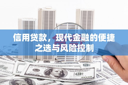 云和信用贷款，现代金融的便捷之选与风险控制