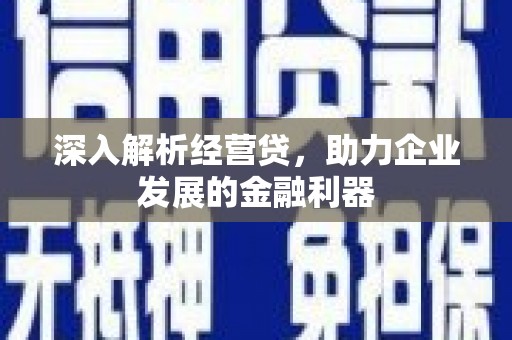 云和深入解析经营贷，助力企业发展的金融利器