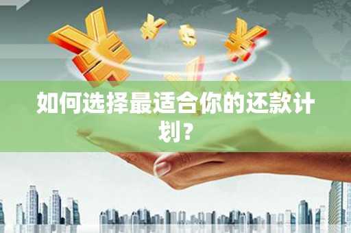 云和如何选择最适合你的还款计划？