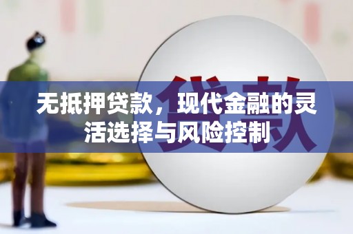 云和无抵押贷款，现代金融的灵活选择与风险控制