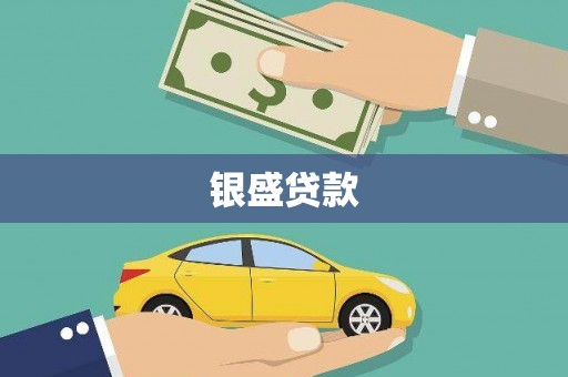 云和银盛贷款