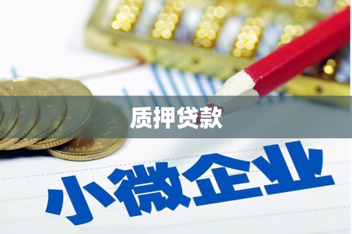 云和质押贷款