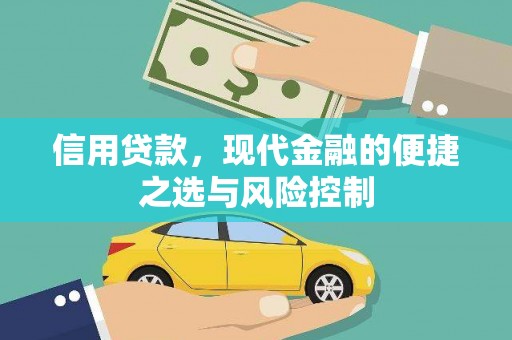 云和信用贷款，现代金融的便捷之选与风险控制