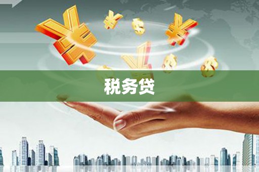 云和税务贷