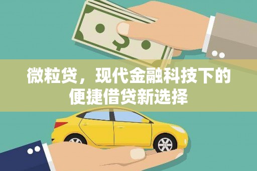 云和微粒贷，现代金融科技下的便捷借贷新选择