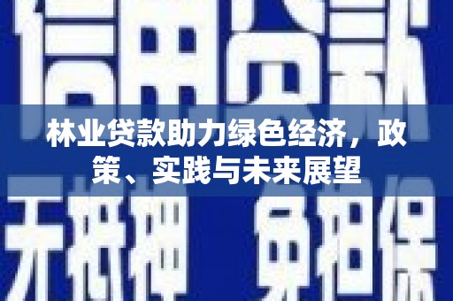云和林业贷款助力绿色经济，政策、实践与未来展望