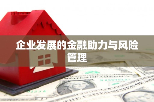 云和企业发展的金融助力与风险管理