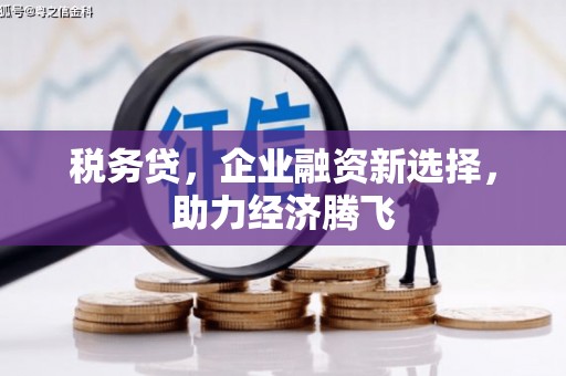 云和税务贷，企业融资新选择，助力经济腾飞