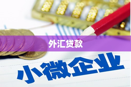云和外汇贷款