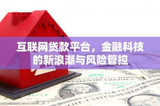 云和互联网贷款平台，金融科技的新浪潮与风险管控