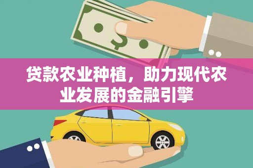 云和贷款农业种植，助力现代农业发展的金融引擎