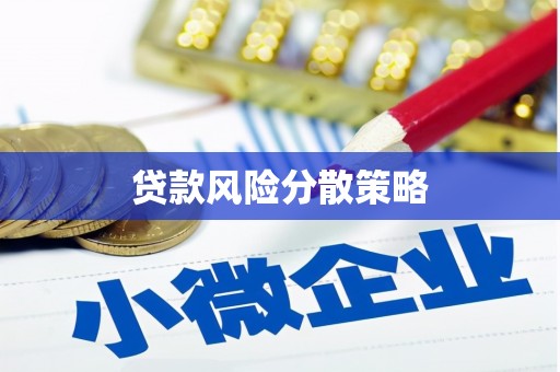 云和贷款风险分散策略