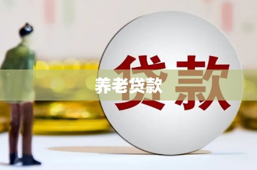 云和养老贷款
