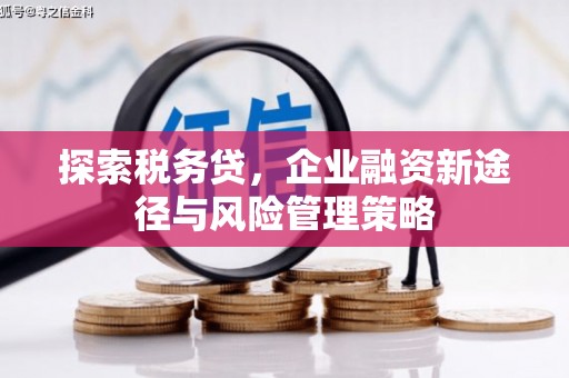 云和探索税务贷，企业融资新途径与风险管理策略