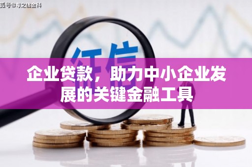 云和企业贷款，助力中小企业发展的关键金融工具