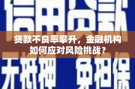 云和贷款不良率攀升，金融机构如何应对风险挑战？