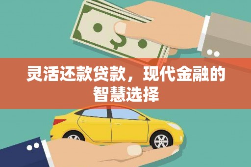 云和灵活还款贷款，现代金融的智慧选择