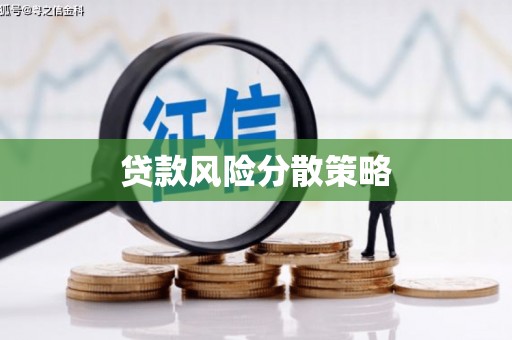 云和贷款风险分散策略