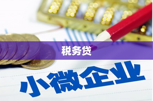 云和税务贷