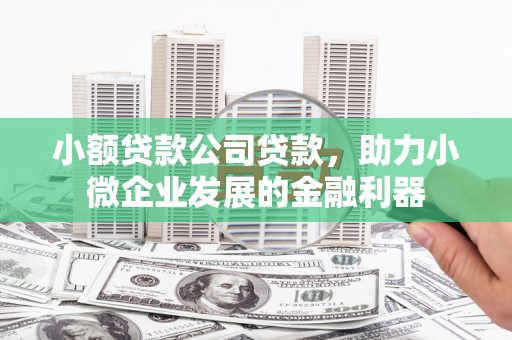 云和小额贷款公司贷款，助力小微企业发展的金融利器