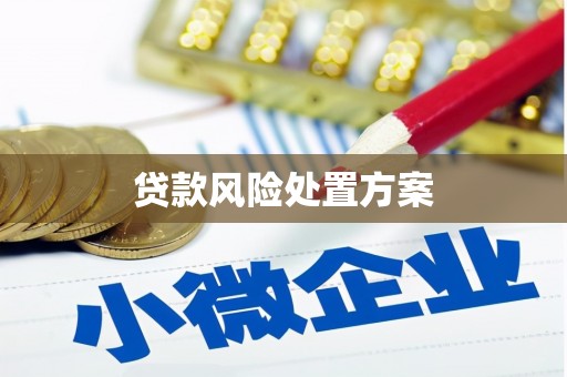 云和贷款风险处置方案