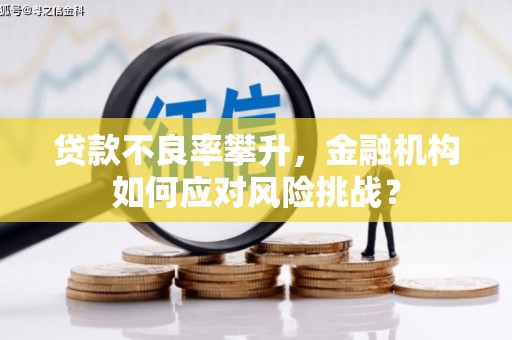 云和贷款不良率攀升，金融机构如何应对风险挑战？