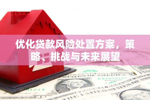 云和优化贷款风险处置方案，策略、挑战与未来展望