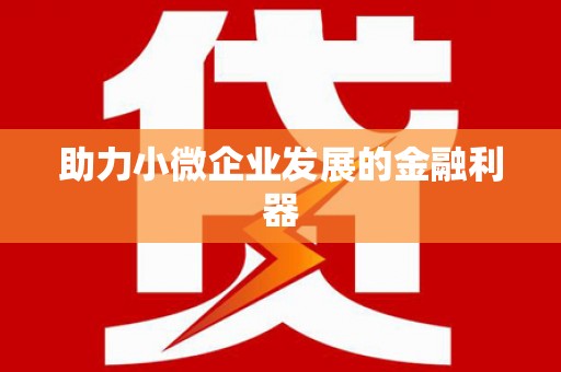 云和助力小微企业发展的金融利器