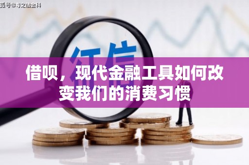 云和借呗，现代金融工具如何改变我们的消费习惯