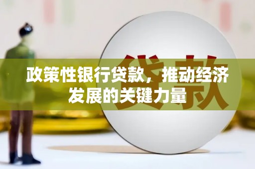 云和政策性银行贷款，推动经济发展的关键力量