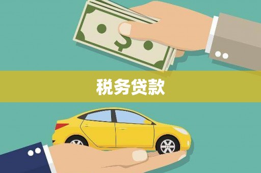 云和税务贷款