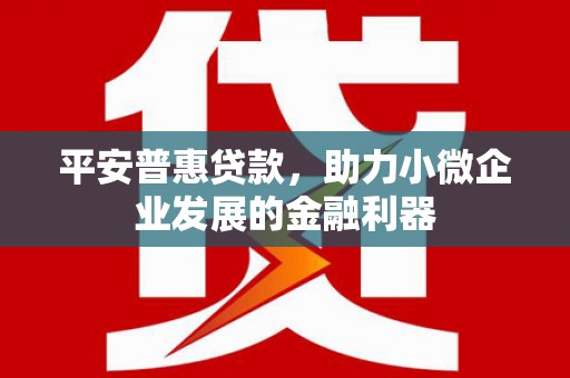 云和平安普惠贷款，助力小微企业发展的金融利器