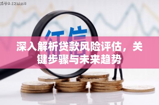 云和深入解析贷款风险评估，关键步骤与未来趋势