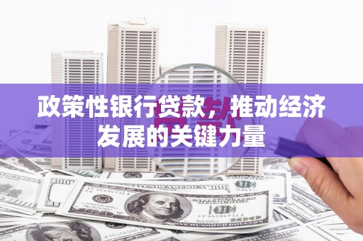 云和政策性银行贷款，推动经济发展的关键力量