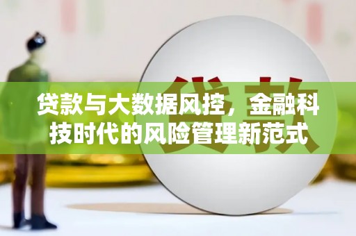 云和贷款与大数据风控，金融科技时代的风险管理新范式