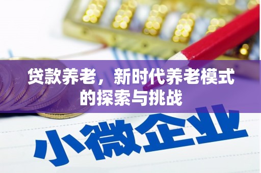 云和贷款养老，新时代养老模式的探索与挑战