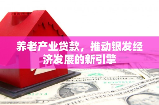 云和养老产业贷款，推动银发经济发展的新引擎