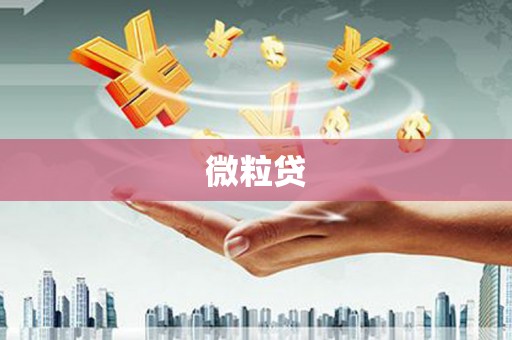 云和微粒贷