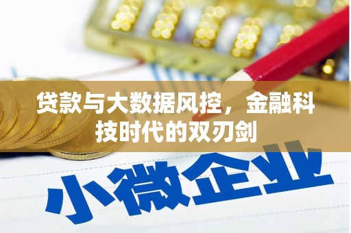云和贷款与大数据风控，金融科技时代的双刃剑