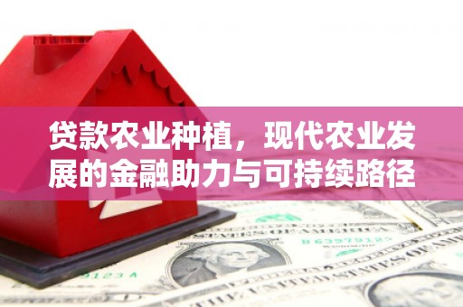 云和贷款农业种植，现代农业发展的金融助力与可持续路径