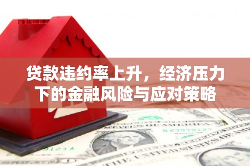 云和贷款违约率上升，经济压力下的金融风险与应对策略